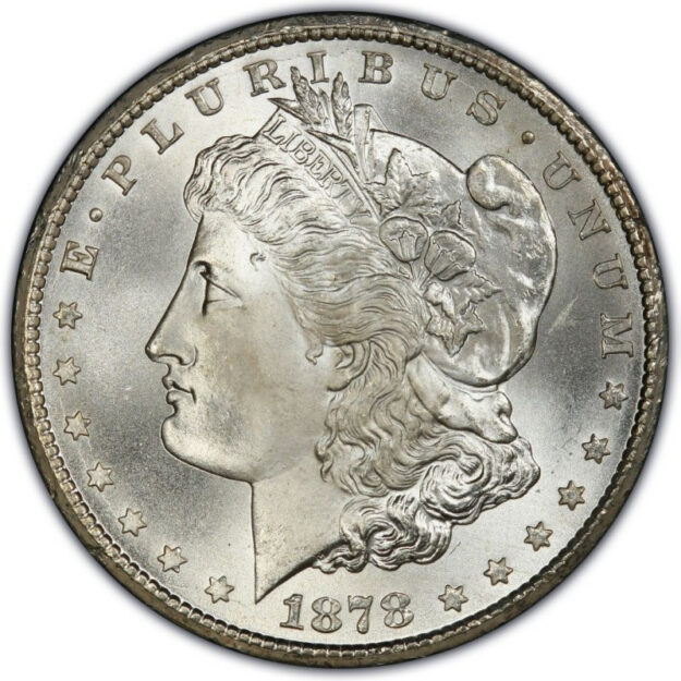 1878_morgan_silver_dollar_value_74_1386165350__93450 (1)